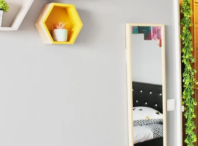 Nouvel Oasis Minimes