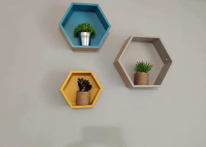 Nouvel Oasis Minimes * Toulouse